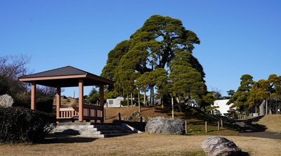 🏞️ 미나토 공원(湊公園) 이미지 2